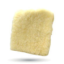 Clean Green Wash & Wax Car Wash Pad 9" x 9"
