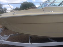 boat cleaner